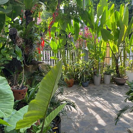 Sunny Garden Homestay Hội An Kültér fotó