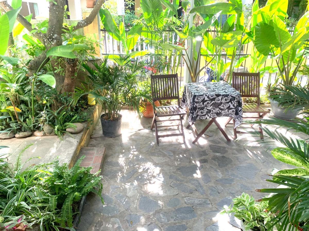 Sunny Garden Homestay Hội An Kültér fotó