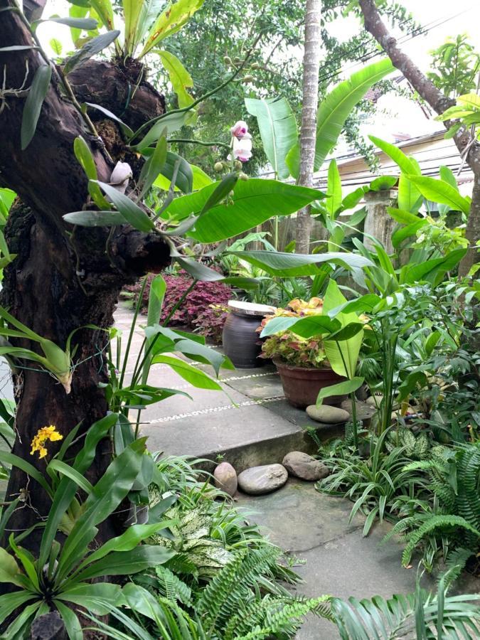 Sunny Garden Homestay Hội An Kültér fotó