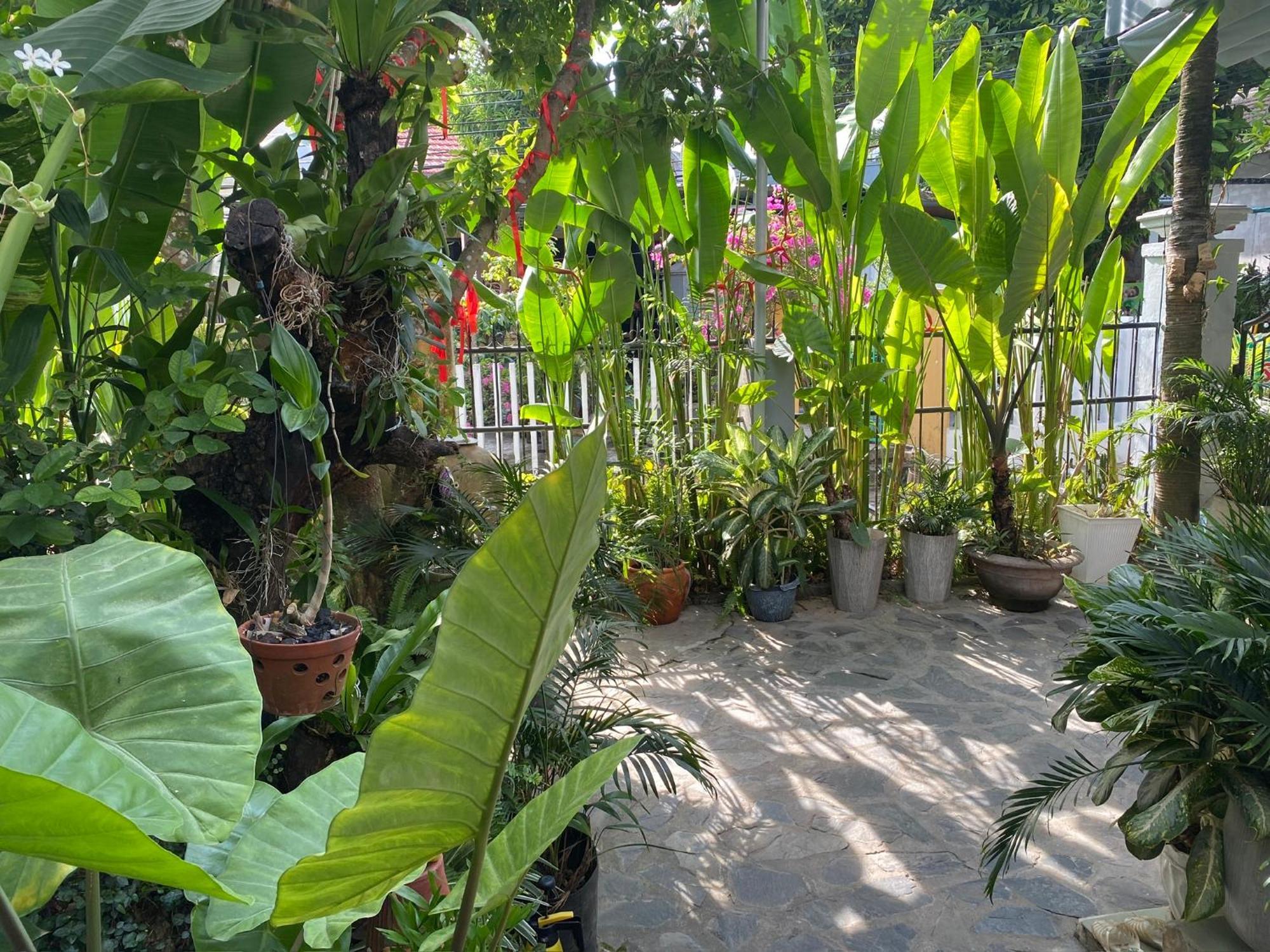 Sunny Garden Homestay Hội An Kültér fotó