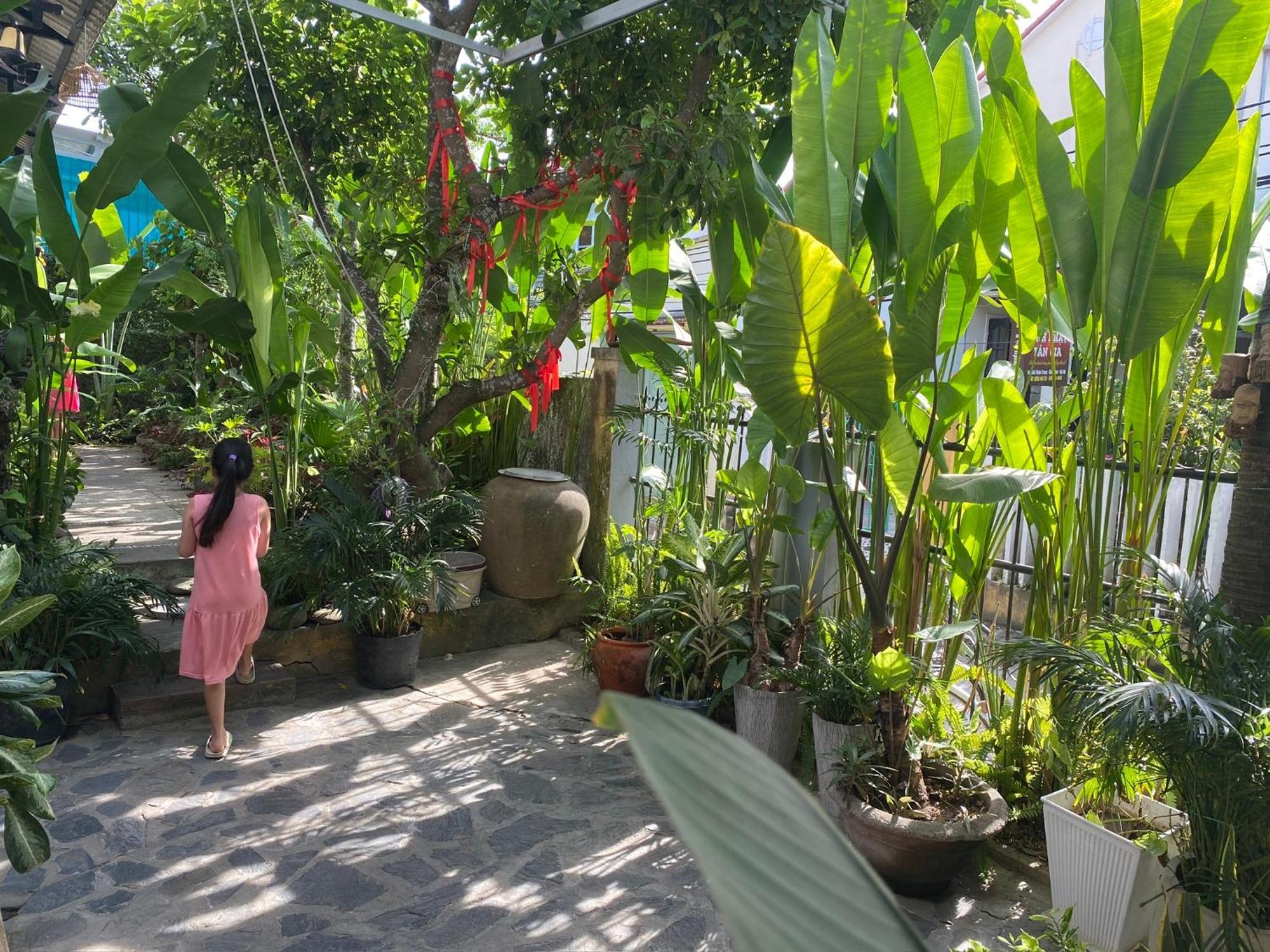 Sunny Garden Homestay Hội An Kültér fotó