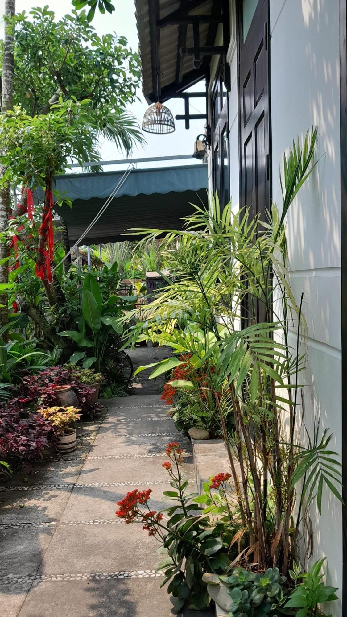 Sunny Garden Homestay Hội An Kültér fotó